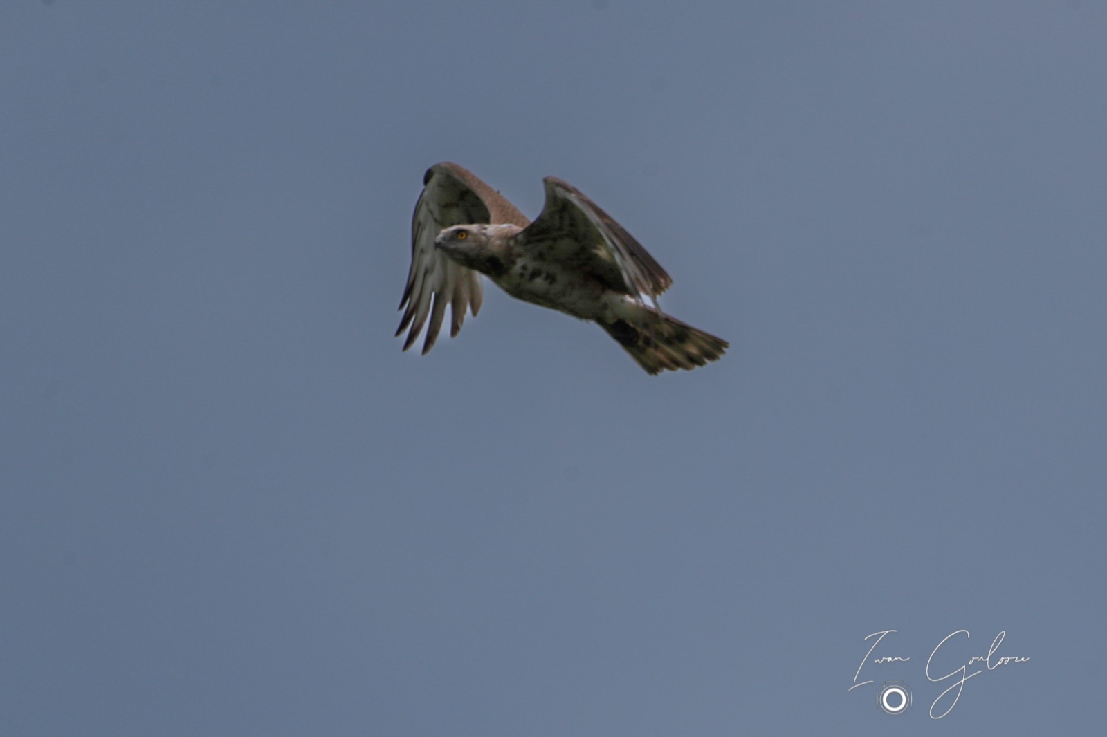 1DX46075 05 juni 2022 0943 06